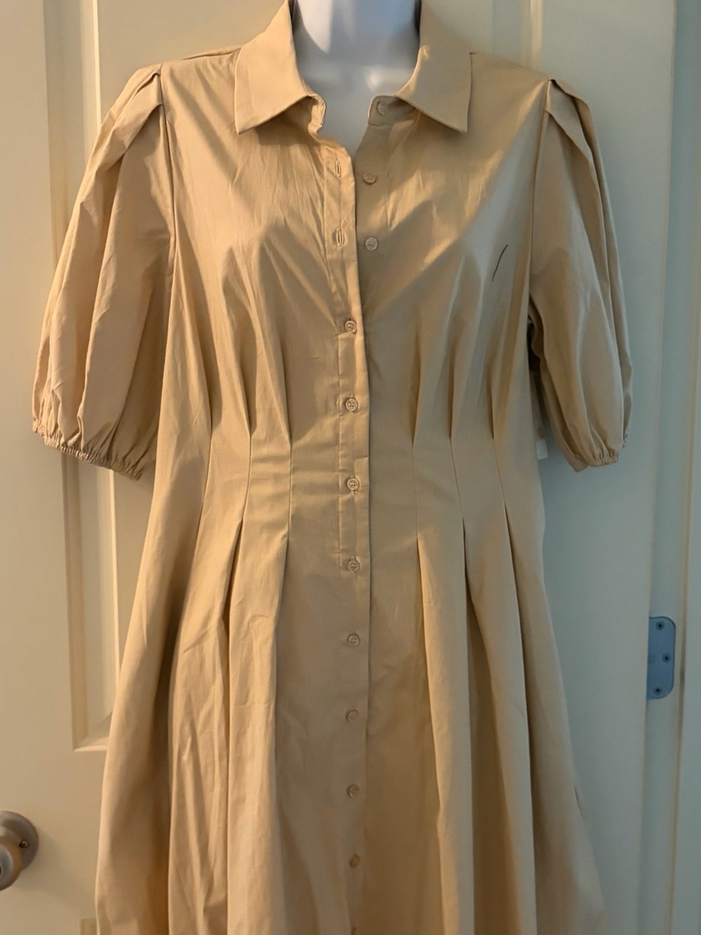Classic Button-Front Women's Dress in Beige